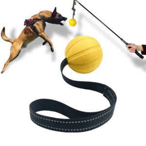 Dog Toy Balls On a Rope for Small Medium Large Dogs Chewers, Durable Interactive Ball for Training Dogs, EVA Foam Ball Floats