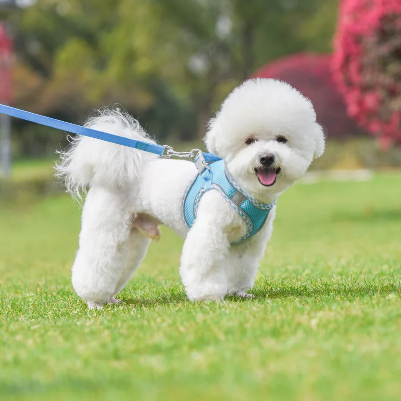 Outdoor Walking Pincher Dog Harness and Leash Set for Small Medium Dogs Chihuahua mascotas Vest Harnesses Pomerian Accessories Outdoor Walking Pincher Dog Harness and Leash Set for Small Medium Dogs Chihuahua mascotas Vest Harnesses Pomerian Accessories