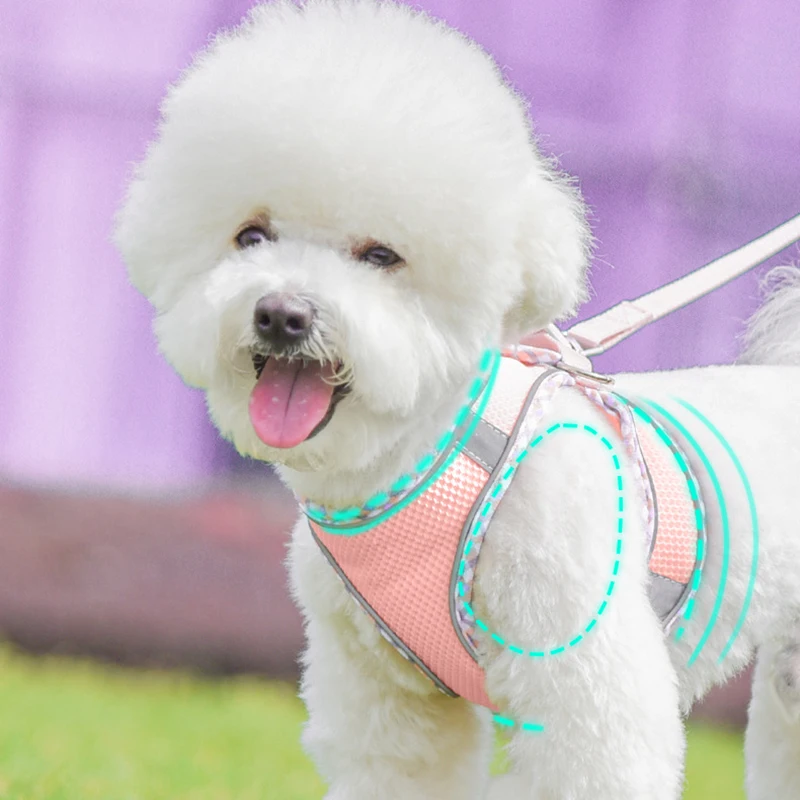 Outdoor Walking Pincher Dog Harness and Leash Set for Small Medium Dogs Chihuahua mascotas Vest Harnesses Pomerian Accessories Outdoor Walking Pincher Dog Harness and Leash Set for Small Medium Dogs Chihuahua mascotas Vest Harnesses Pomerian Accessories