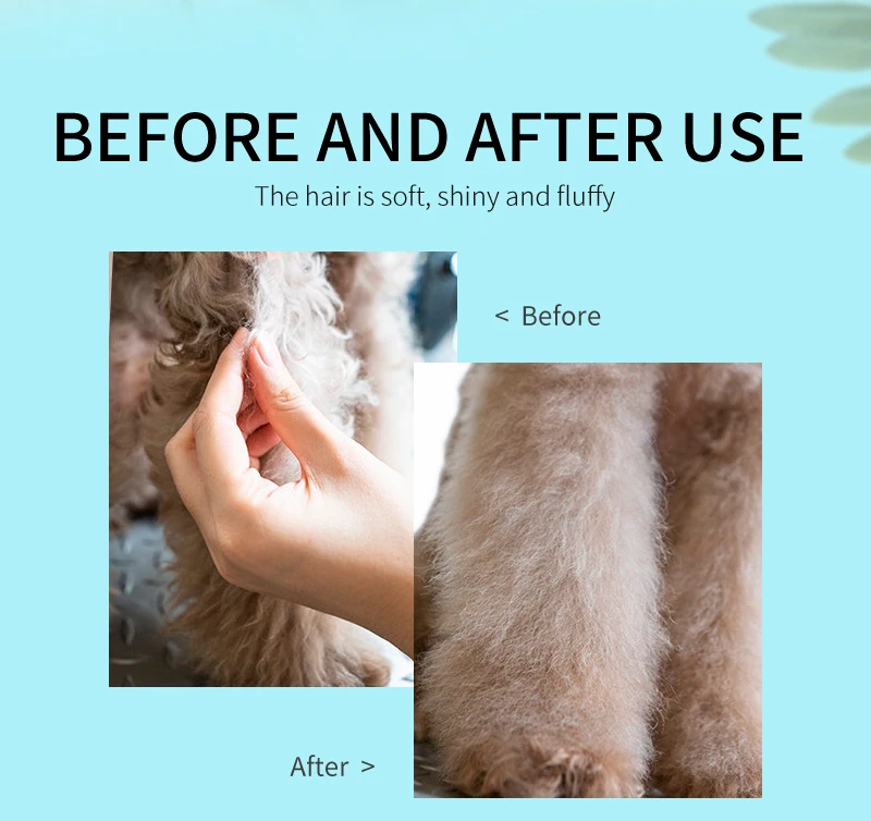 Pet Shampoo and Conditioner 2 In 1 Natural Moisturizing Shampoo Moisturizing Dog Shampoo for Sensitive Skin PH Balanced Shampoo