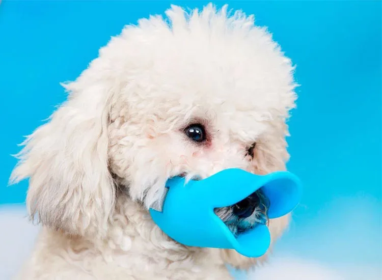 Dog Muzzle Silicone Duck Muzzle Mask for Dogs Anti Bite Stop Barking Small Large Dog Mouth Muzzles Pet Dog Accessories Dog Muzzle Silicone Duck Muzzle Mask for Dogs Anti Bite Stop Barking Small Large Dog Mouth Muzzles Pet Dog Accessories
