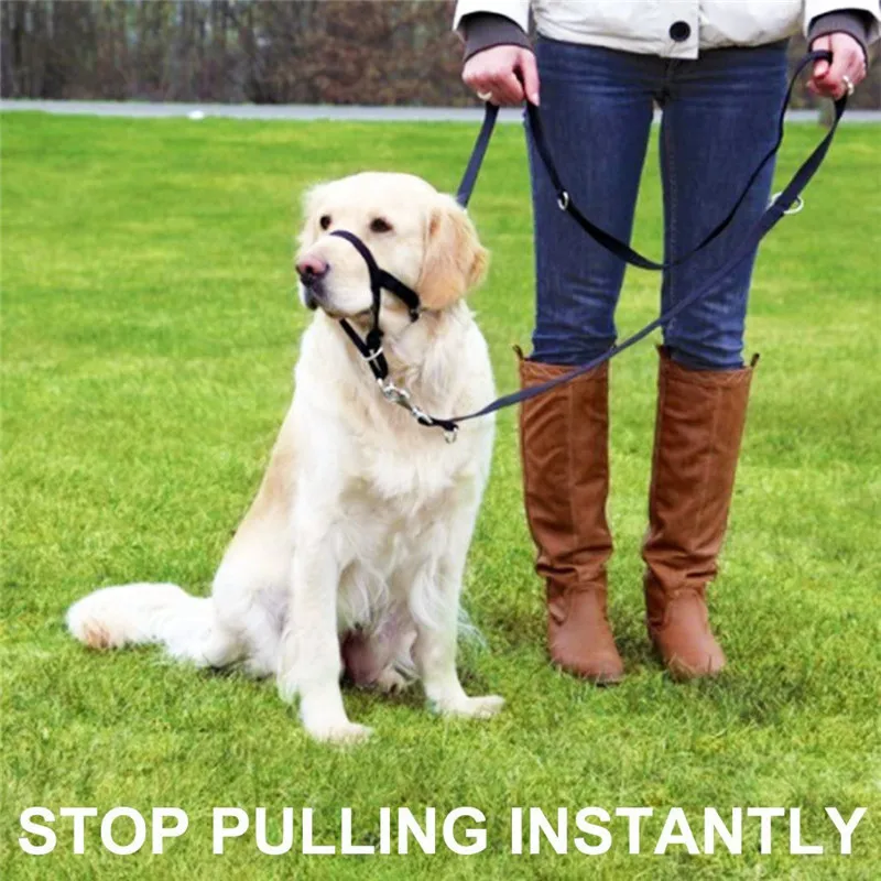 Pet Muzzle Dog Muzzle Adjustable Anti-biting Nose Hair Mask Pet Traction Set Dog Muzzle Training Belt