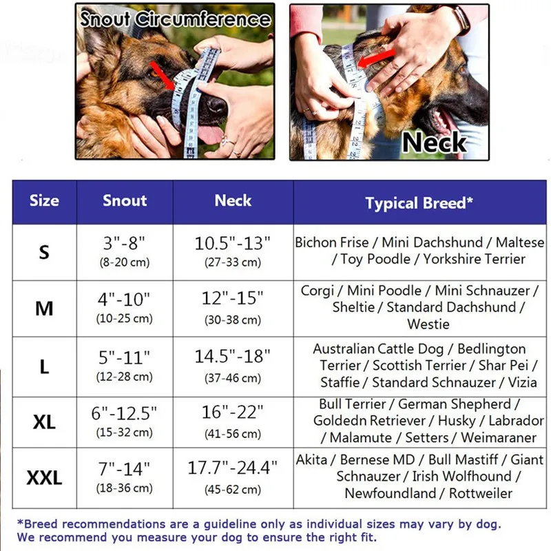 Pet Muzzle Dog Muzzle Adjustable Anti-biting Nose Hair Mask Pet Traction Set Dog Muzzle Training Belt