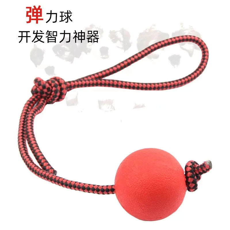 Indestructible Dog Ball Pet Training Dog Toy Puppy Tug Balls Toys Pet Chew Toys Solid Rubber Balls with Rope Pet Toy