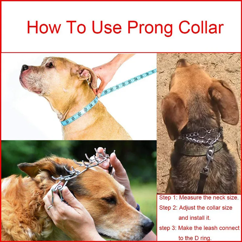 Effective Pinch Dog Training Collar with Comfort Rubber Tips Safe Adjustable Detachable Stainless Steel Collar Pet Supplies Effective Pinch Dog Training Collar with Comfort Rubber Tips Safe Adjustable Detachable Stainless Steel Collar Pet Supplies
