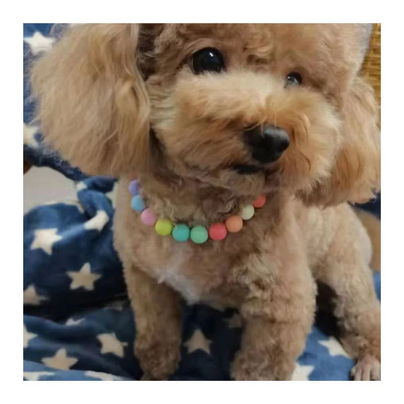 Pet Dog Candy Color Pearl Necklace Collar Ornament for Female Dog Cat Small Medium Pet Puppy Teddy Jewelry Accessories