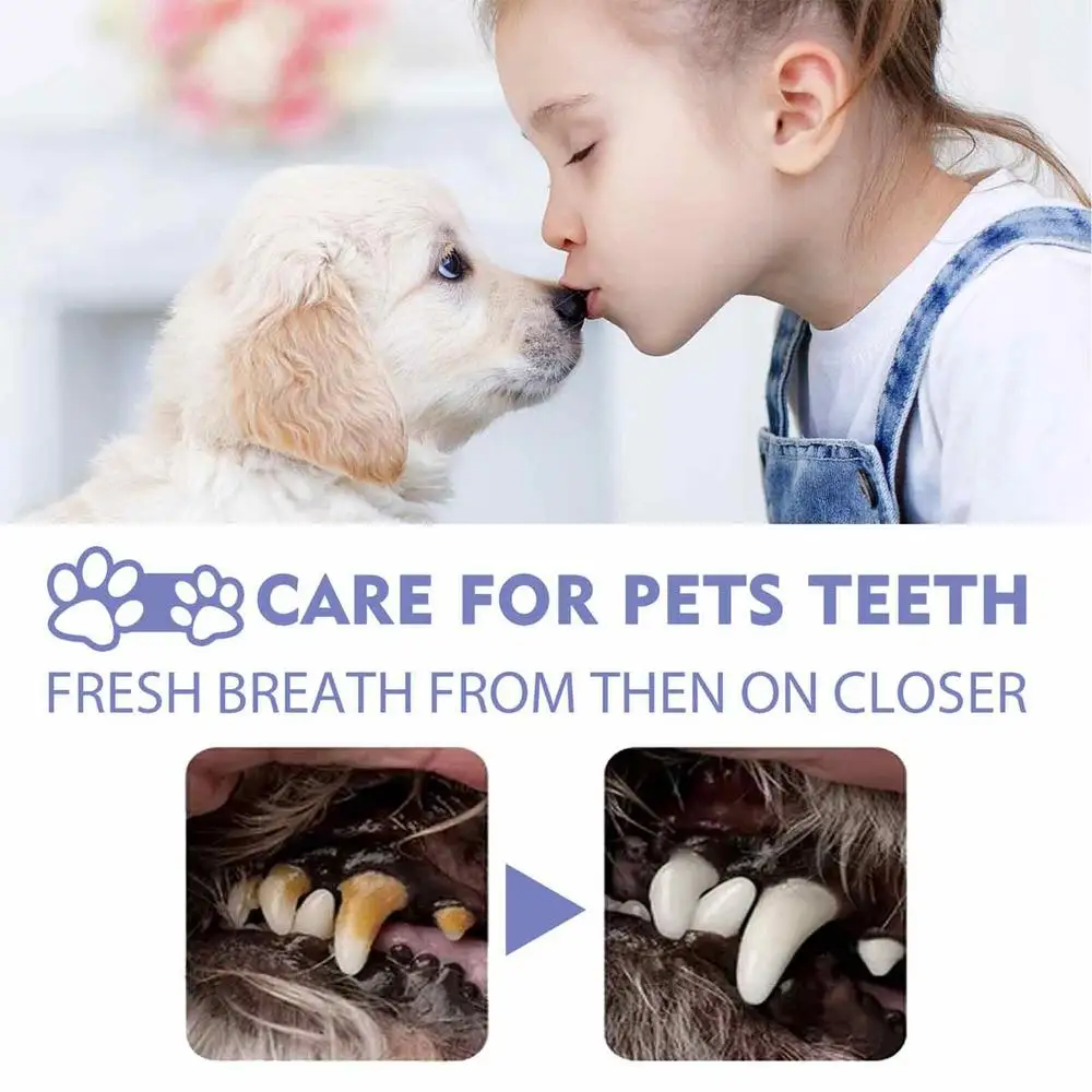 Pet Oral Cleanse Spray 50ml Dogs Cats Mouth Fresh Teeth Clean Deodorant Prevent Calculus Remove Kitten Bad Breath Pet Supplies Pet Oral Cleanse Spray 50ml Dogs Cats Mouth Fresh Teeth Clean Deodorant Prevent Calculus Remove Kitten Bad Breath Pet Supplies