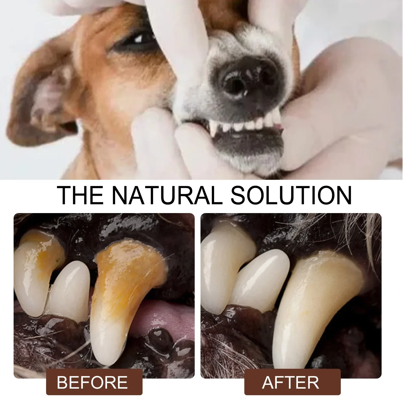 Pet Tooth Cleaning Spray Dogs Remove Bad Breath Freshener Cats Oral Cleaning Dental Care Deodorization Spray Pet Supplies 30ml Pet Tooth Cleaning Spray Dogs Remove Bad Breath Freshener Cats Oral Cleaning Dental Care Deodorization Spray Pet Supplies 30ml