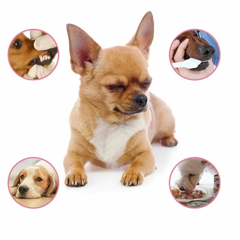 60ml Pet Spray Dog Oral Care Bad Breath Teeth Cleaning Breath Freshener Plaque Remover Pet Deodorant Pet Care Supply 60ml Pet Spray Dog Oral Care Bad Breath Teeth Cleaning Breath Freshener Plaque Remover Pet Deodorant Pet Care Supply