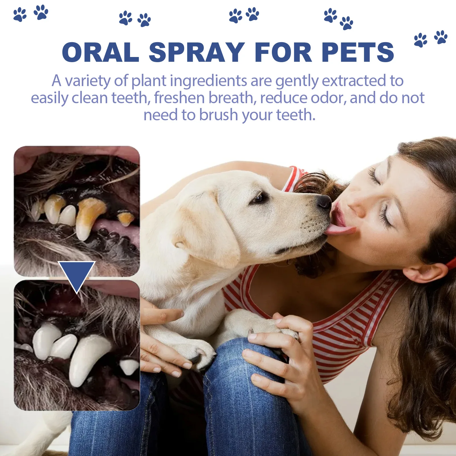 Pet Oral Cleanse Spray Prevent Calculus Bad Breath Teeth Cleaning Cat Mouth Fresh Odor Stains Remover Dog Deodorant Spray 50ml Pet Oral Cleanse Spray Prevent Calculus Bad Breath Teeth Cleaning Cat Mouth Fresh Odor Stains Remover Dog Deodorant Spray 50ml