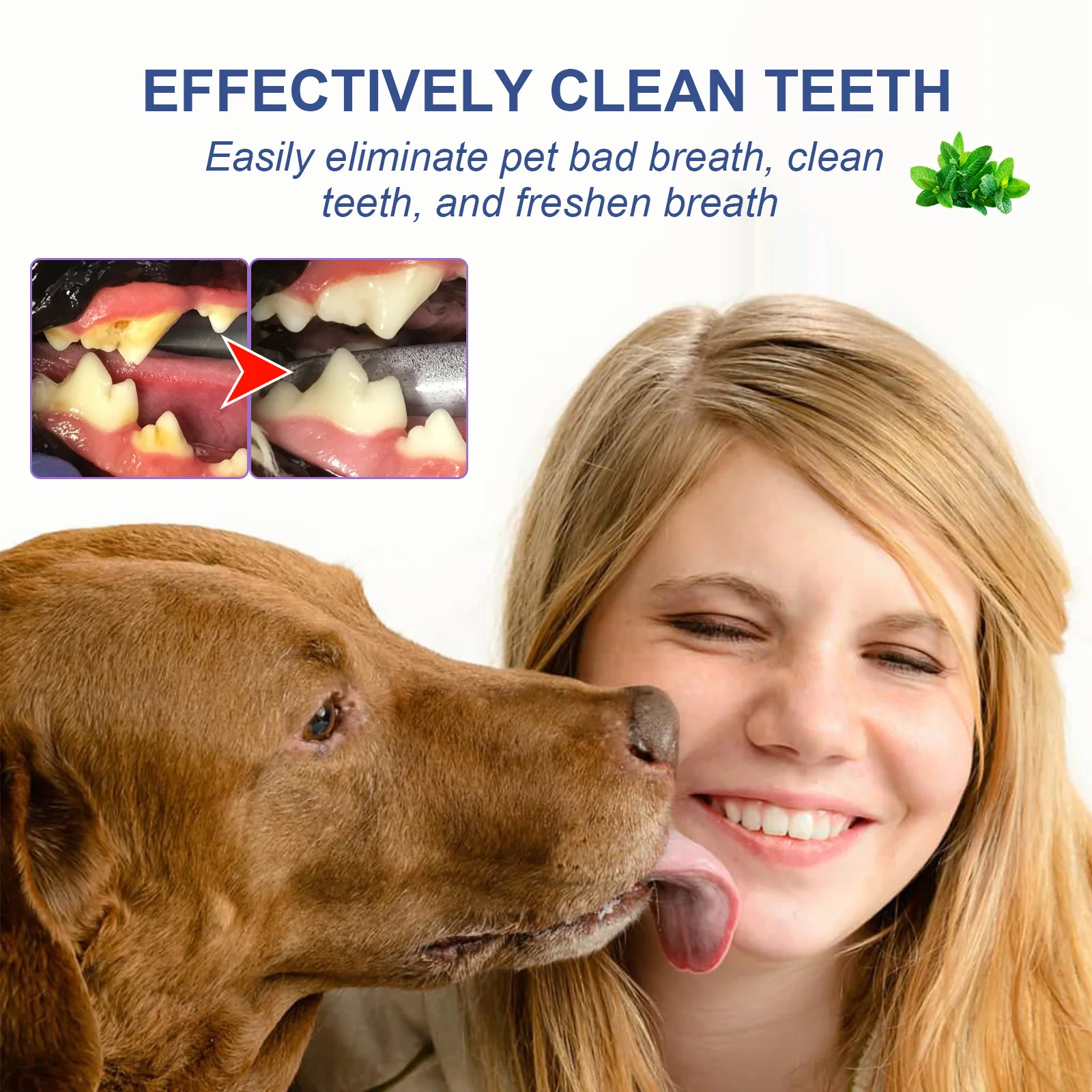 Pet Oral Cleanse Spray Prevent Calculus Bad Breath Teeth Cleaning Cat Mouth Fresh Odor Stains Remover Dog Deodorant Spray 50ml Pet Oral Cleanse Spray Prevent Calculus Bad Breath Teeth Cleaning Cat Mouth Fresh Odor Stains Remover Dog Deodorant Spray 50ml