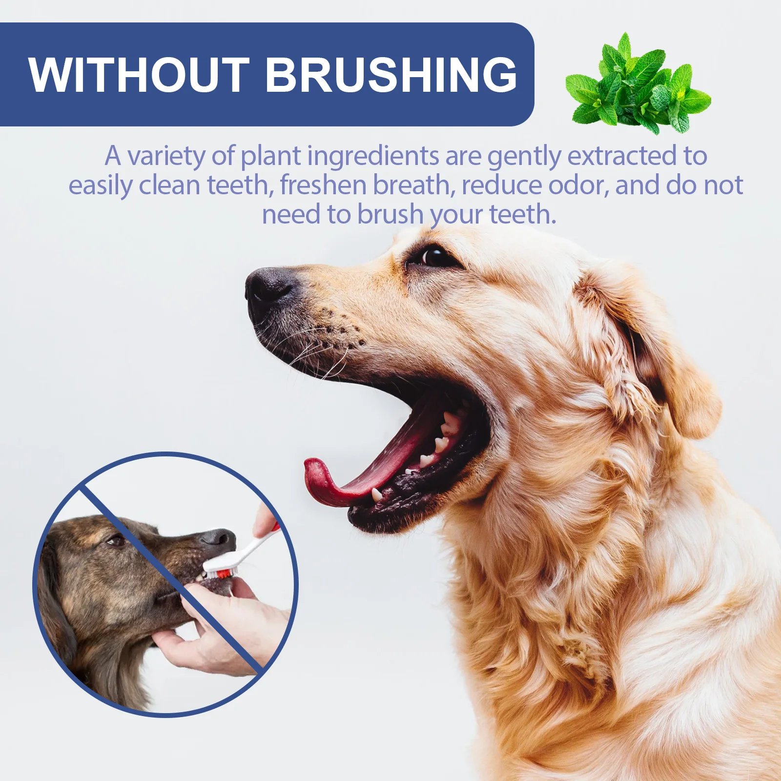 Pet Oral Cleanse Spray Prevent Calculus Bad Breath Teeth Cleaning Cat Mouth Fresh Odor Stains Remover Dog Deodorant Spray 50ml Pet Oral Cleanse Spray Prevent Calculus Bad Breath Teeth Cleaning Cat Mouth Fresh Odor Stains Remover Dog Deodorant Spray 50ml
