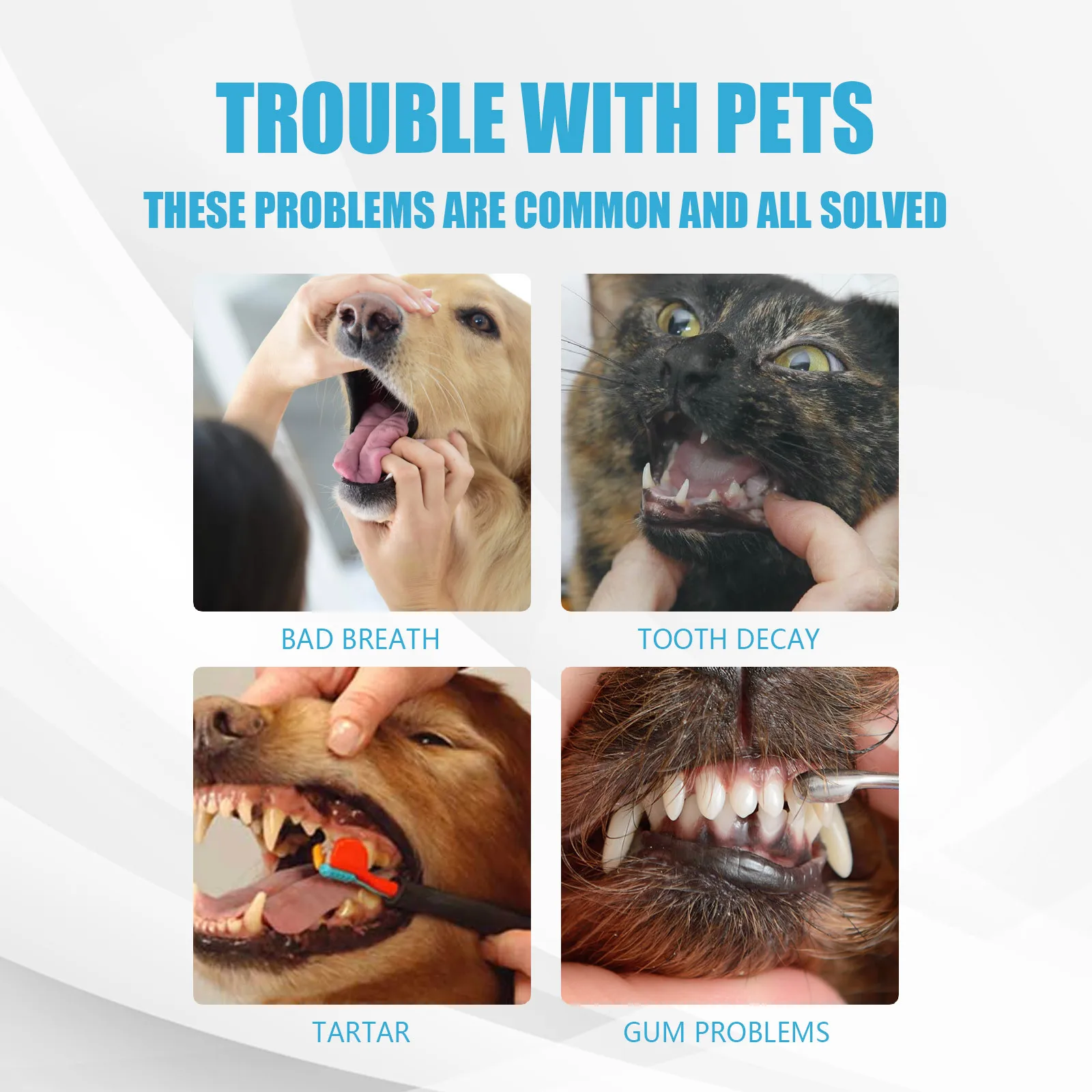 Pet Oral Care Toothpaste Dog Fresh Breath Mouth Deodorant Tartar Plaque Cleaning Prevent Teeth Calculus Cats Edible Toothpaste Pet Oral Care Toothpaste Dog Fresh Breath Mouth Deodorant Tartar Plaque Cleaning Prevent Teeth Calculus Cats Edible Toothpaste